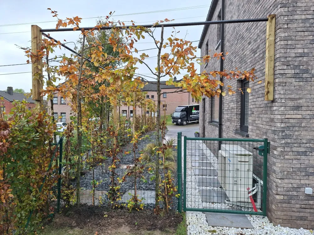 Chantier Cornesse (10)