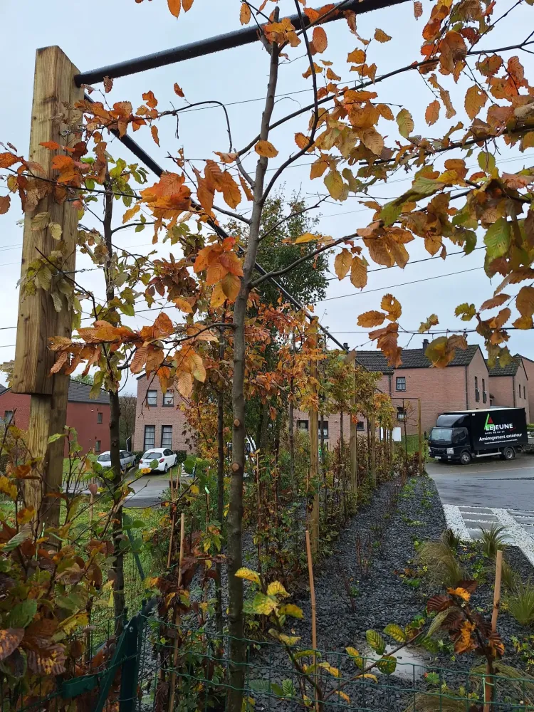 Chantier Cornesse (1)