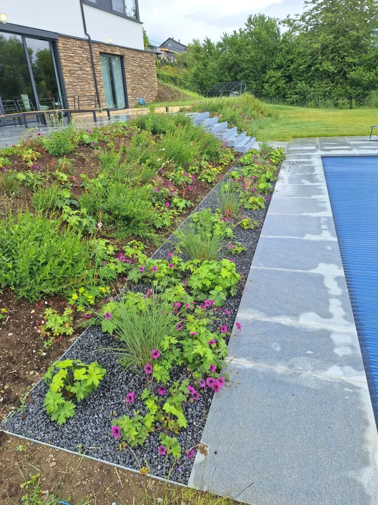 Plantation chantier Drolenval