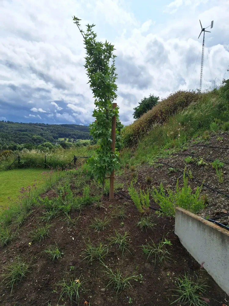 Plantation chantier Drolenval (5)