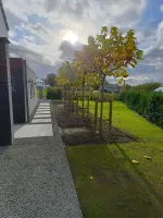 Chantier Nivezée Aménagement complet (23webp